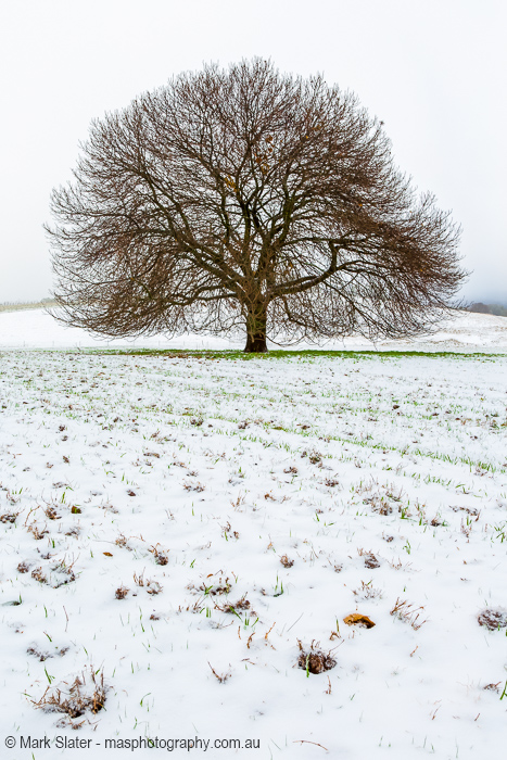 A Dusting