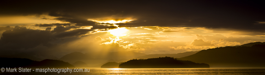 Alaskan Gold