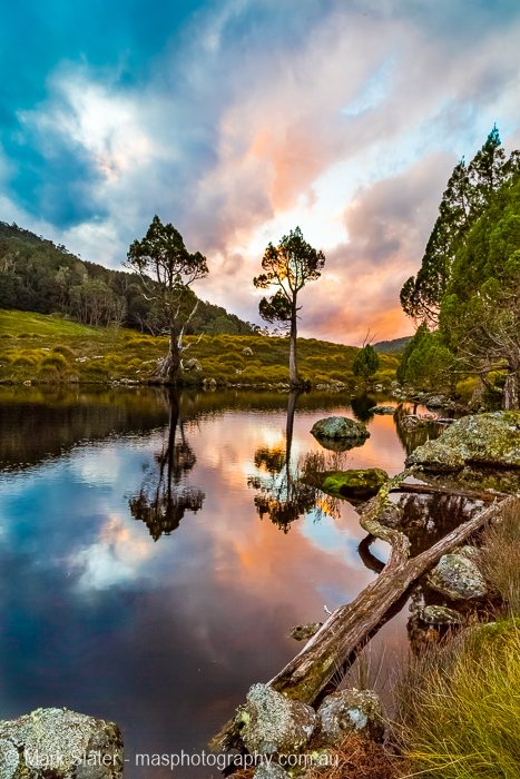 The Colours Of Nature