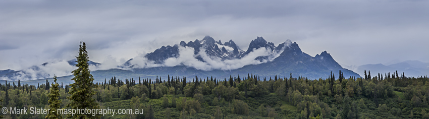 Denali Mist