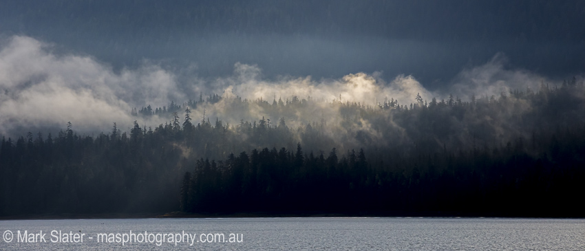 First Light