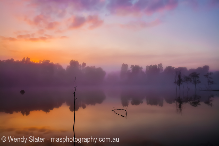 Morning Glow