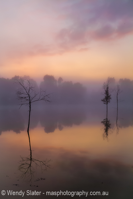 Morning Soft Light