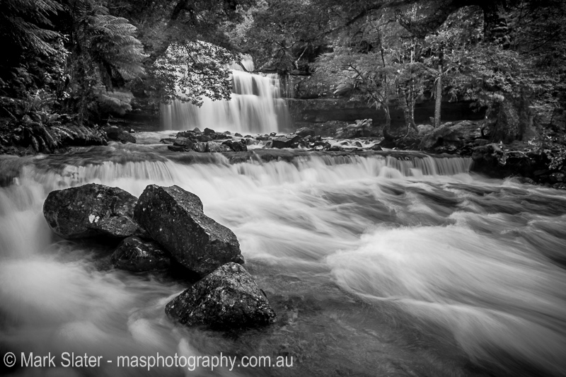 Serenity - Liffey Falls Tasmania