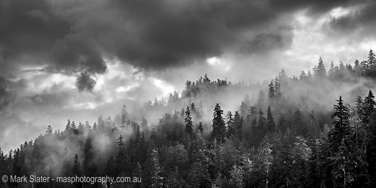 Winter's Coming